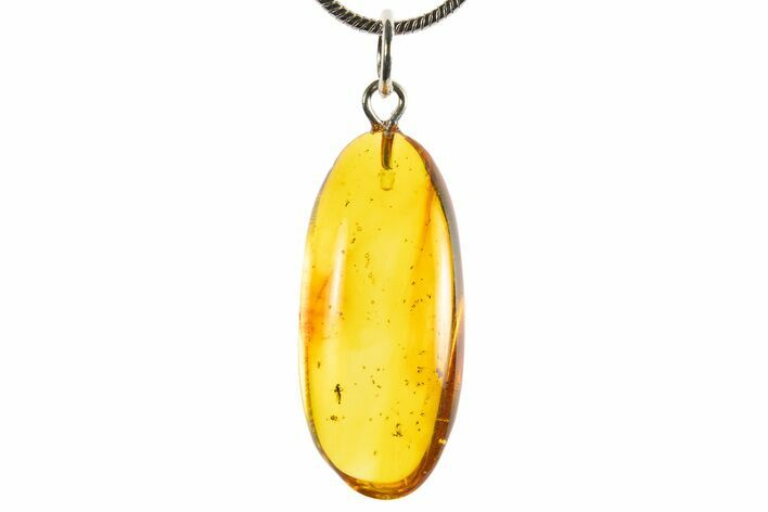 Polished Baltic Amber Pendant (Necklace) - Contains Fly! #339544